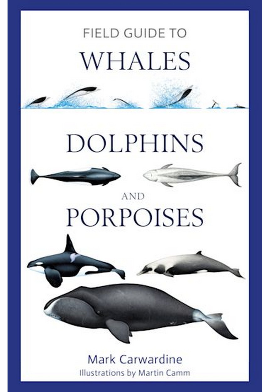 FIELD GUIDE TO WHALES, DOLPHINS AND PORPOISES, Carwardine Mark